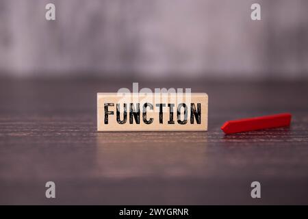 Text auf grauem Wort Funktion in kleinen Holzbuchstaben mit schwarzer Schrift auf blauem Hintergrund. Stockfoto