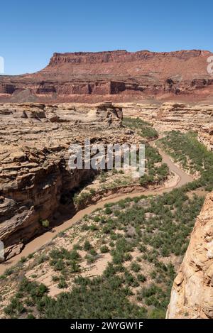 Canyon des Dirty Devil River, der vom Powell Reservoir in Utah eingebettet wurde. Stockfoto