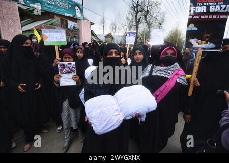 Budgam, Indien. April 2024. (Foto von Mubashir Hassan/Pacific Press) Credit: Pacific Press Media Production Corp./Alamy Live News Stockfoto