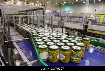 Etikettierung und Verpackung von Gemüse aus Konserven, grüne Bohnen, Konservenindustrie, Agrar- und Lebensmittelindustrie, Logistikzentrum, Grupo Riberebro, Alfaro, La Rioja, Spanien. Stockfoto