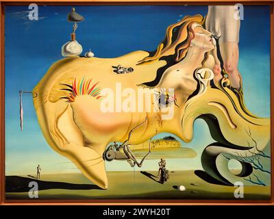 Gesicht des Großen Masturbators, 1929, Salvador Dalí, Museo Nacional Centro de Arte Reina Sofia, Madrid, Spanien, Europa. Stockfoto