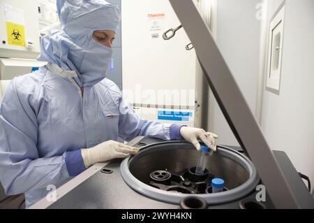 Zentrifugieren. Produktionsraum, Reinraum Klasse B. Labor, Fundación Inbiomed, Genetrix Group. Zentrum für Stammzellforschung und regenerative Medizin. Donostia, San Sebastian, Euskadi. Spanien. Stockfoto