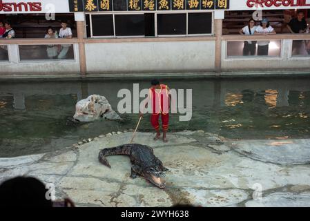 Samut Prakan, Samut Prakan, Thailand. April 2024. Ein Krokodiltrainer demonstriert, wie man ein Krokodil fängt. Vorstellung für Touristen in Samutprakan Crocodile Farm and Zoo am 6. April 2024. In der Provinz Samut Prakan. 35 km von Bangkok. Nachdem sie aufgrund der COVID-19-Epidemiesituation für drei Jahre vorübergehend geschlossen worden war. (Kreditbild: © Teera Noisakran/Pacific Press via ZUMA Press Wire) NUR REDAKTIONELLE VERWENDUNG! Nicht für kommerzielle ZWECKE! Stockfoto