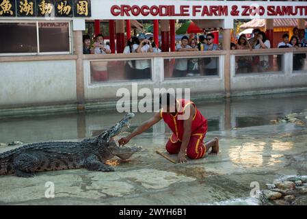 Samut Prakan, Samut Prakan, Thailand. April 2024. Der Darsteller steckt seine Hand in den Mund des Krokodils. Während der Show für Touristen in Samutprakan Crocodile Farm and Zoo am 6. April 2024. In der Provinz Samut Prakan. 35 km von Bangkok. Nachdem sie aufgrund der COVID-19-Epidemiesituation für drei Jahre vorübergehend geschlossen worden war. (Kreditbild: © Teera Noisakran/Pacific Press via ZUMA Press Wire) NUR REDAKTIONELLE VERWENDUNG! Nicht für kommerzielle ZWECKE! Stockfoto