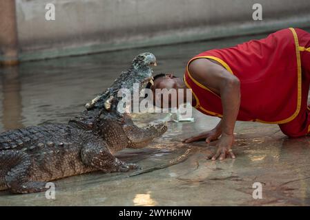 Samut Prakan, Samut Prakan, Thailand. April 2024. Der Darsteller steckt dem Krokodil den Kopf in den Mund. Während der Show für Touristen in Samutprakan Crocodile Farm and Zoo am 6. April 2024. In der Provinz Samut Prakan. 35 km von Bangkok. Nachdem sie aufgrund der COVID-19-Epidemiesituation für drei Jahre vorübergehend geschlossen worden war. (Kreditbild: © Teera Noisakran/Pacific Press via ZUMA Press Wire) NUR REDAKTIONELLE VERWENDUNG! Nicht für kommerzielle ZWECKE! Stockfoto