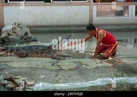 Samut Prakan, Samut Prakan, Thailand. April 2024. Der Darsteller steckt seine Hand in den Mund des Krokodils. Während der Show für Touristen in Samutprakan Crocodile Farm and Zoo am 6. April 2024. In der Provinz Samut Prakan. 35 km von Bangkok. Nachdem sie aufgrund der COVID-19-Epidemiesituation für drei Jahre vorübergehend geschlossen worden war. (Kreditbild: © Teera Noisakran/Pacific Press via ZUMA Press Wire) NUR REDAKTIONELLE VERWENDUNG! Nicht für kommerzielle ZWECKE! Stockfoto