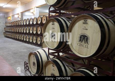 Reifung des Rioja-Weines in Eichenfässern. Bodegas Virgen del Valle, Samaniego, Rioja Alavesa, Euskadi. Stockfoto