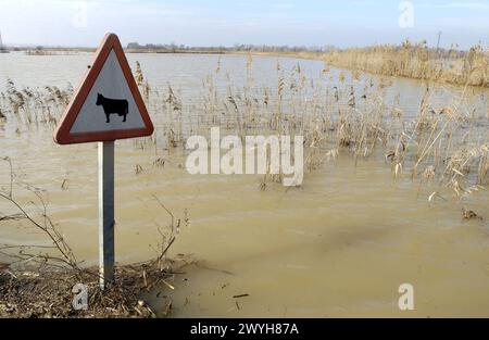 Überschwemmungen am Ebro-Fluss. Februar 2003. Pina de Ebro, Provinz Saragossa. Spanien. Stockfoto