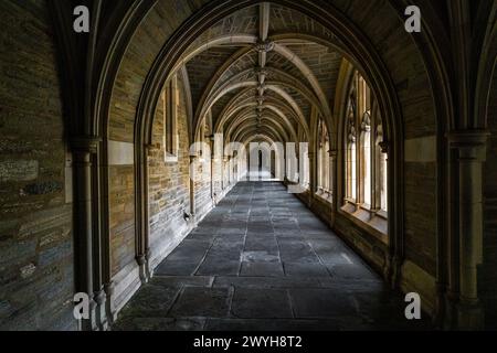 Malerische gotische Halle in der Princeton University am Tag mit niemandem Stockfoto