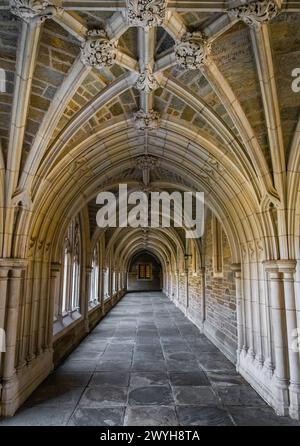 Malerische gotische Halle in der Princeton University am Tag mit niemandem Stockfoto