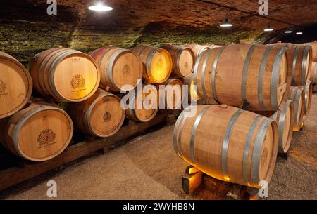 Weinkeller, Chateau de Pommard, Weinstraße der Grands Crus, Pommard, Cote de Beaune, Cote d'Or, Region Burgund, Bourgogne, Frankreich, Europa. Stockfoto
