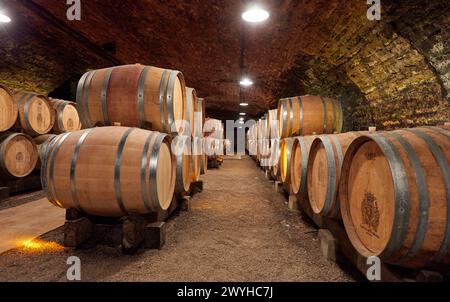 Weinkeller, Chateau de Pommard, Weinstraße der Grands Crus, Pommard, Cote de Beaune, Cote d'Or, Region Burgund, Bourgogne, Frankreich, Europa. Stockfoto