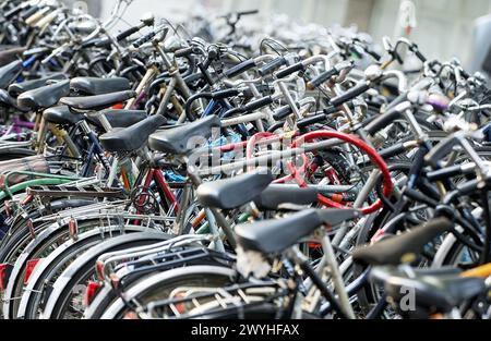 Fahrradpark am Hauptbahnhof. Rotterdam. Holland. Stockfoto