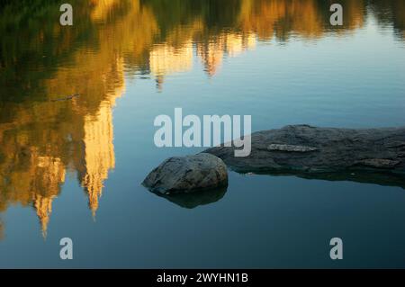 Die Herbstabsteiger und die umliegenden Gebäude spiegeln sich an einem Herbsttag im Wasser eines Central Park Lake in New York City Stockfoto