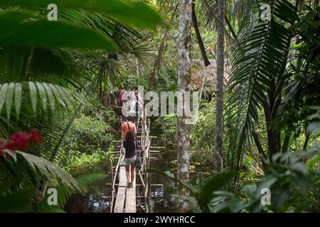 Eine Tour durch das Pilpintuwasi Wildlife Rescue Center, die Schmetterlingsfarm und das Schutzgebiet in der Nähe von Iquitos Peru in der Region Loreto am Amazonas Stockfoto