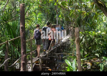 Eine Tour überquert die Brücke im Pilpintuwasi Wildlife Rescue Center, Schmetterlingsfarm und Schutzgebiet in der Nähe von Iquitos Peru in der Region Loreto am Amazonas Stockfoto