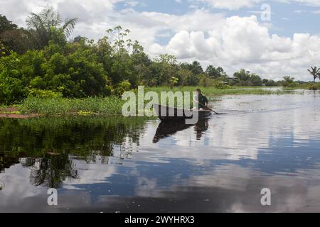 Eine Tour durch das Pilpintuwasi Wildlife Rescue Center, die Schmetterlingsfarm und das Schutzgebiet in der Nähe von Iquitos Peru in der Region Loreto am Amazonas Stockfoto