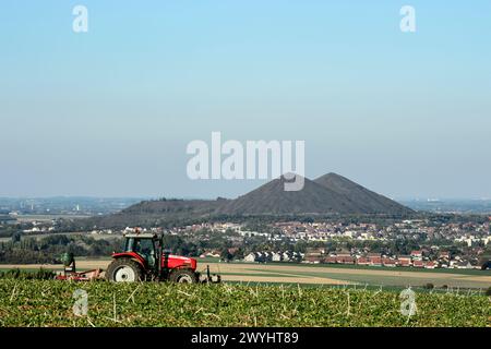 Der höchste Haufen Frankreichs - die Zwillinge in Loos-en-Gohelle | Les plus hauts Terrils de France à Loos-en-Gohelle Stockfoto