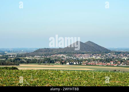 Der höchste Haufen Frankreichs - die Zwillinge in Loos-en-Gohelle | Les plus hauts Terrils de France à Loos-en-Gohelle Stockfoto