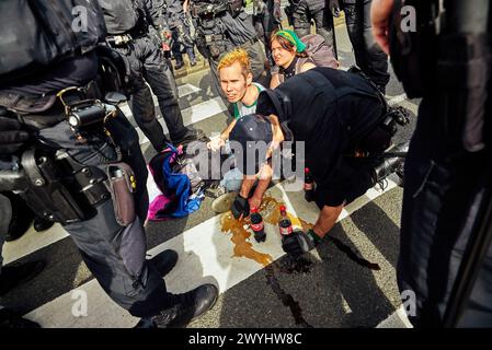 Den Haag, Niederlande. April 2024. Ein Klimaaktivist klebte sich an die Straße. Eine kleine Gruppe von Demonstranten blockierte die Straße (S100) im Zentrum von den Haag während einer Extinction Rebellion Bewegung. Anfangs wollten die Aktivisten die A12 zum 37. Mal blockieren, aber es gelang ihnen nicht, die Straße zu erobern, als Polizisten sie umzingelten und verhafteten. Die Demonstranten trugen „XR“-Flaggen und Plakate mit der Aufschrift „Stop Fuel Subventionen now!“ Und „der Planet stirbt!“. Quelle: SOPA Images Limited/Alamy Live News Stockfoto