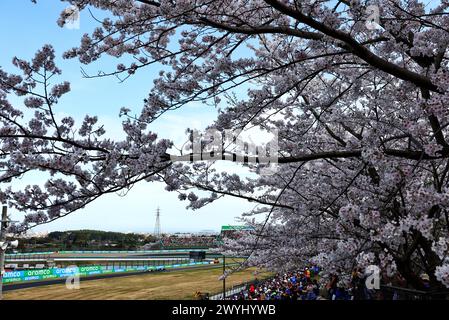 Suzuka, Japan. April 2024. Nico Hulkenberg (DE) Haas VF-24. 07.04.2024. Formel-1-Weltmeisterschaft, Rd 4, Großer Preis Von Japan, Suzuka, Japan, Wettkampftag. Das Foto sollte lauten: XPB/Alamy Live News. Stockfoto