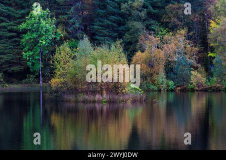 Kleine Insel mit herbstlichen Bäumen, Glencoe Lochan im schottischen Hochland, Großbritannien Stockfoto