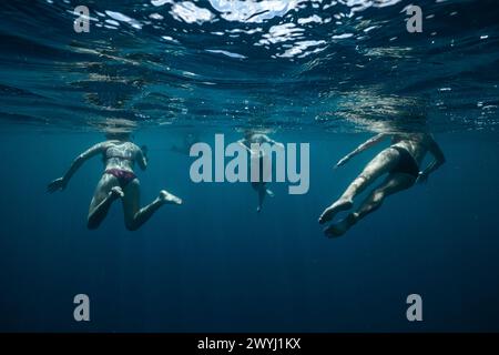 Begegnung mit Manta in der Mayotte Lagune im Indischen Ozean Stockfoto