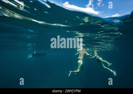 Begegnung mit Manta in der Mayotte Lagune im Indischen Ozean Stockfoto