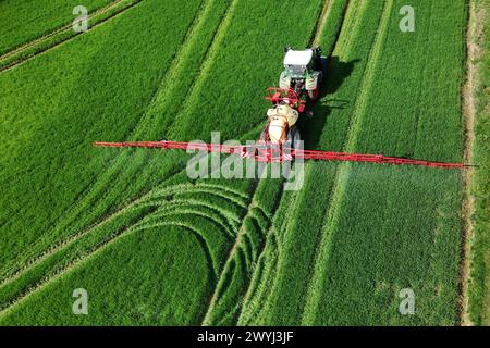 Themenfoto Landwirtschaft,Duengen,Pestizide, ein Landwirt faehrt mit seinenm Traktor ueber ein gruenes Feld und duengt mit Pestiziden. *** Themenfoto Landwirtschaft, Duengen, Pestizide, Ein Landwirt fährt seinen Traktor über ein grünes Feld und düngt mit Pestiziden Stockfoto