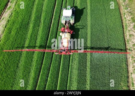 Themenfoto Landwirtschaft,Duengen,Pestizide, ein Landwirt faehrt mit seinenm Traktor ueber ein gruenes Feld und duengt mit Pestiziden. *** Themenfoto Landwirtschaft, Duengen, Pestizide, Ein Landwirt fährt seinen Traktor über ein grünes Feld und düngt mit Pestiziden Stockfoto