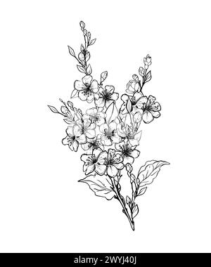 Blühender Sakura-Zweig, Apfelbaum, Pfirsich. Realistische Zeichnung von schönen Blumen mit Knospen und Blättern für Logo, Hochzeitsdesign. Umrissskizze. Ve Stock Vektor