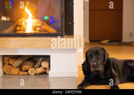 Black Labrador Retriever liegt in der Nähe des Kamins im Haus Stockfoto
