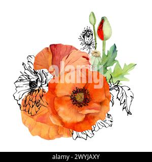 Handgezeichnete Aquarelle botanische Illustration Blumen Blätter. Roter Mohn Papaver, Stiele Knospen Samenkörner. Feldstrauß isoliert auf weißem Hintergrund Stockfoto