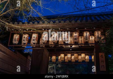 Nächtliche Beleuchtung in Tempeln während der Kirschblüten-Sakura-Saison und Festivals in Kyoto, Japan Stockfoto