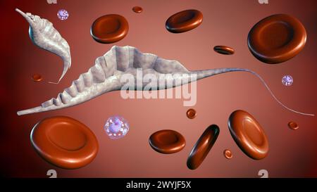 3D-Rendering Protozoen der Gattung Trypanosoma verursacht die menschliche afrikanische Trypanosomiasis, auch als Schlafkrankheit bekannt Stockfoto