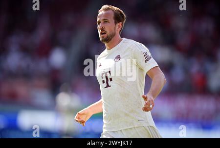 HEIDENHEIM, DEUTSCHLAND - 06. APRIL: Harry Kane von Bayern München sieht beim Bundesliga-Spiel zwischen 1. FC Heidenheim 1846 und FC Bayern München in der Voith-Arena am 06. April 2024 in Heidenheim. © diebilderwelt / Alamy Stock © diebilderwelt / Alamy Stock Stockfoto