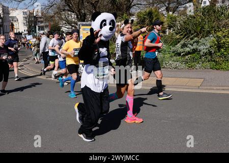 Brighton, Stadt Brighton & Hove, East Sussex, Großbritannien. Hier ist Brighton Marathon 2024, vorbei an der 4,5-km-Marke. April 2024. David Smith/Alamy Live News Stockfoto