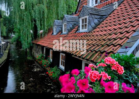 Anders Coffee in Goslar, Niedersachsen, Deutschland Stockfoto