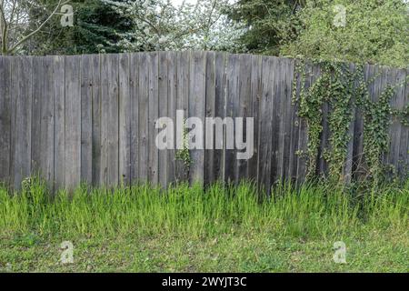 Blühende Bäume im Frühling hinter einem hölzernen Gartenzaun Stockfoto