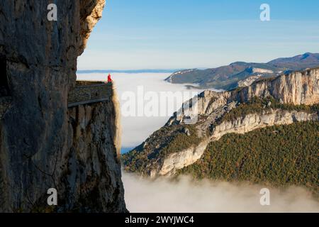 Frankreich, Drome, Parc Naturel Régional du Vercors, Route touristique D76 du Cirque de Combe Laval Stockfoto