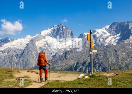 Frankreich, Hautes-Alpes, La Grave, Oisans-Tal, Emparis-Plateau am Souchet-Pass (2356 m) auf dem Wanderweg GR 54, im Hintergrund die Nordwand der Meije (3983 m), der Râteau (3809 m) und der Girose-Gletscher im Nationalpark Ecrins Stockfoto