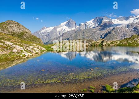 Frankreich, Hautes-Alpes, La Grave, Oisans-Tal, Emparis-Plateau, Lac Lérié (2375 m), belvedere an den Rändern der Nordwand der Meije (3983 m) und ihrer Gletscher, der Gipfel des Râteau (3809 m) und der Girose-Gletscher im Ecrins-Nationalpark Stockfoto