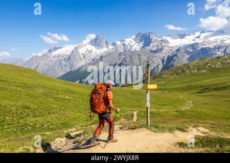 Frankreich, Hautes-Alpes, La Grave, Oisans-Tal, Emparis-Plateau am Souchet-Pass (2356 m) auf dem Wanderweg GR 54, im Hintergrund die Nordwand der Meije (3983 m), der Râteau (3809 m) und der Girose-Gletscher im Nationalpark Ecrins Stockfoto