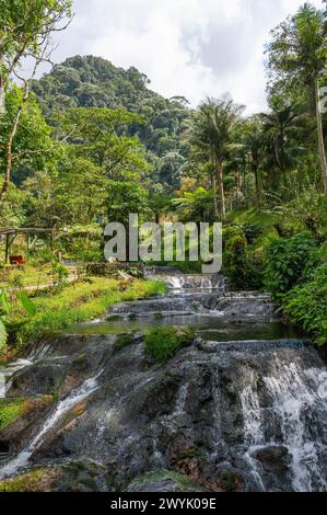 Kolumbien, Bezirk Risaralda, Kaffeebereich, Thermalbäder von Santa Rosa de Cabal Stockfoto