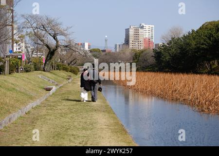 Liebhaber, die während der Sakura-Blüte in Japan entlang des Flusses spazieren Stockfoto