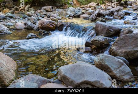 Wasser fließt über Felsen im Big Cottonwood Creek am Big Cottonwood Canyon in der Nähe von Salt Lake City, Utah Stockfoto