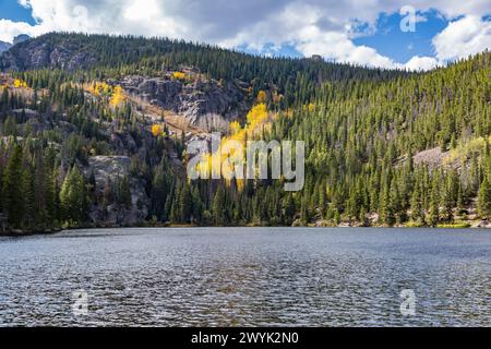 Immergrüner Wald mit Farbenaspen-Bäumen umgeben den Bear Lake im Rocky Mountain National Park, Colorado Stockfoto