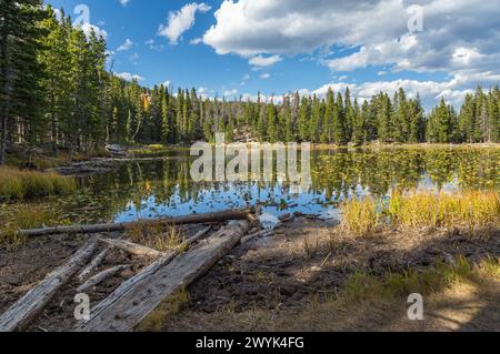 Immergrüner Wald mit Farbenaspen-Bäumen umgeben den Nymph Lake im Rocky Mountain National Park, Colorado Stockfoto