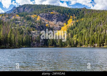 Immergrüner Wald mit Farbenaspen-Bäumen umgeben den Bear Lake im Rocky Mountain National Park, Colorado Stockfoto