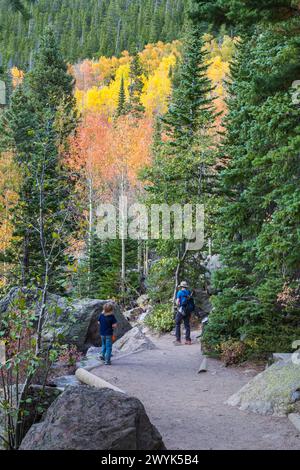 Der Bear Lake Nature Trail führt Wanderer vorbei am Evergreen Forest mit Colordul Aspen Bäumen im Rocky Mountain National Park, Colorado Stockfoto